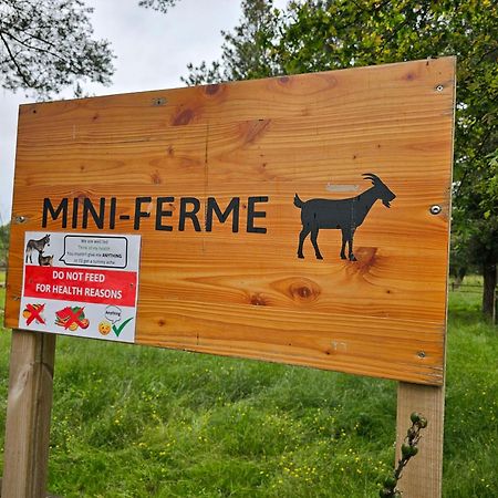Mobil-Home 6 Personne - Tohapi Coeur De Vendee La Boissiere-de-Montaigu Dış mekan fotoğraf
